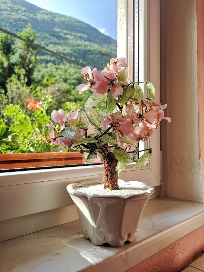 Apartma Floncna Lejlighed Bovec Eksteriør billede